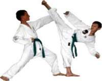 توضيحات آموزش کاتا و بونکای کاراته (3عدد سی دی )