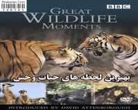 BBC Great Wildlife Moments