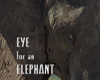 BBC Eye for an Elephant