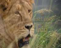BBC The Last Lions of India