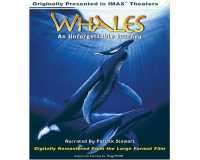 IMAX Whales - An Unforgettable Journey